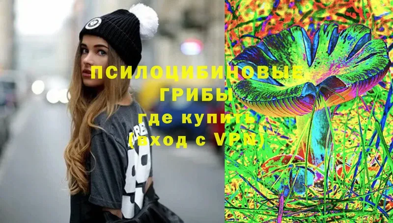 Галлюциногенные грибы Cubensis  Ипатово 